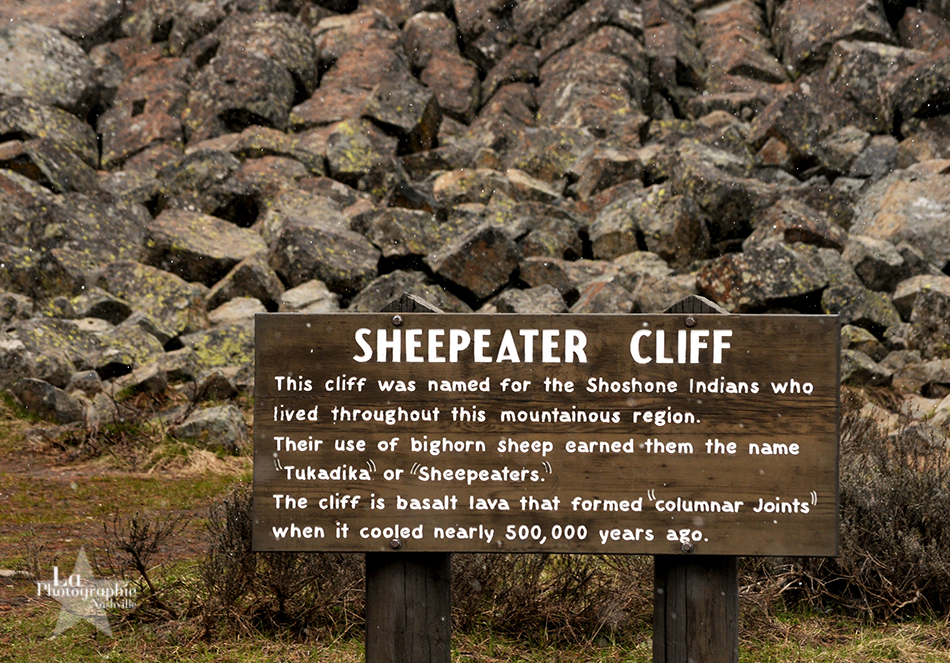 Sheepeater Cliffs